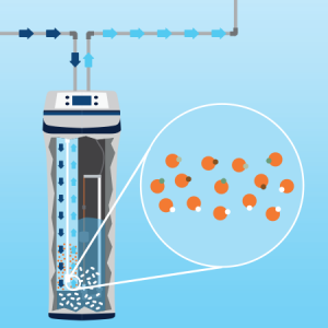 A diagram showing how minerals are removed during the water softening process